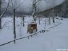 lago-laceno-nevicata-11-febbraio-2012i00019
