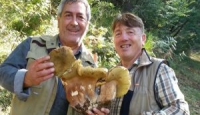 Fungo gigante a Bagnoli: Silvio e Gerardo lo mostrano come un trofeo