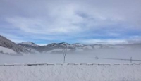 Riprende a nevicare sul Laceno: caduti 50 cm finora